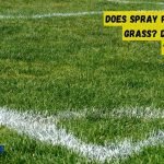 Does Spray Paint Kill Grass