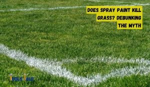 Does Spray Paint Kill Grass