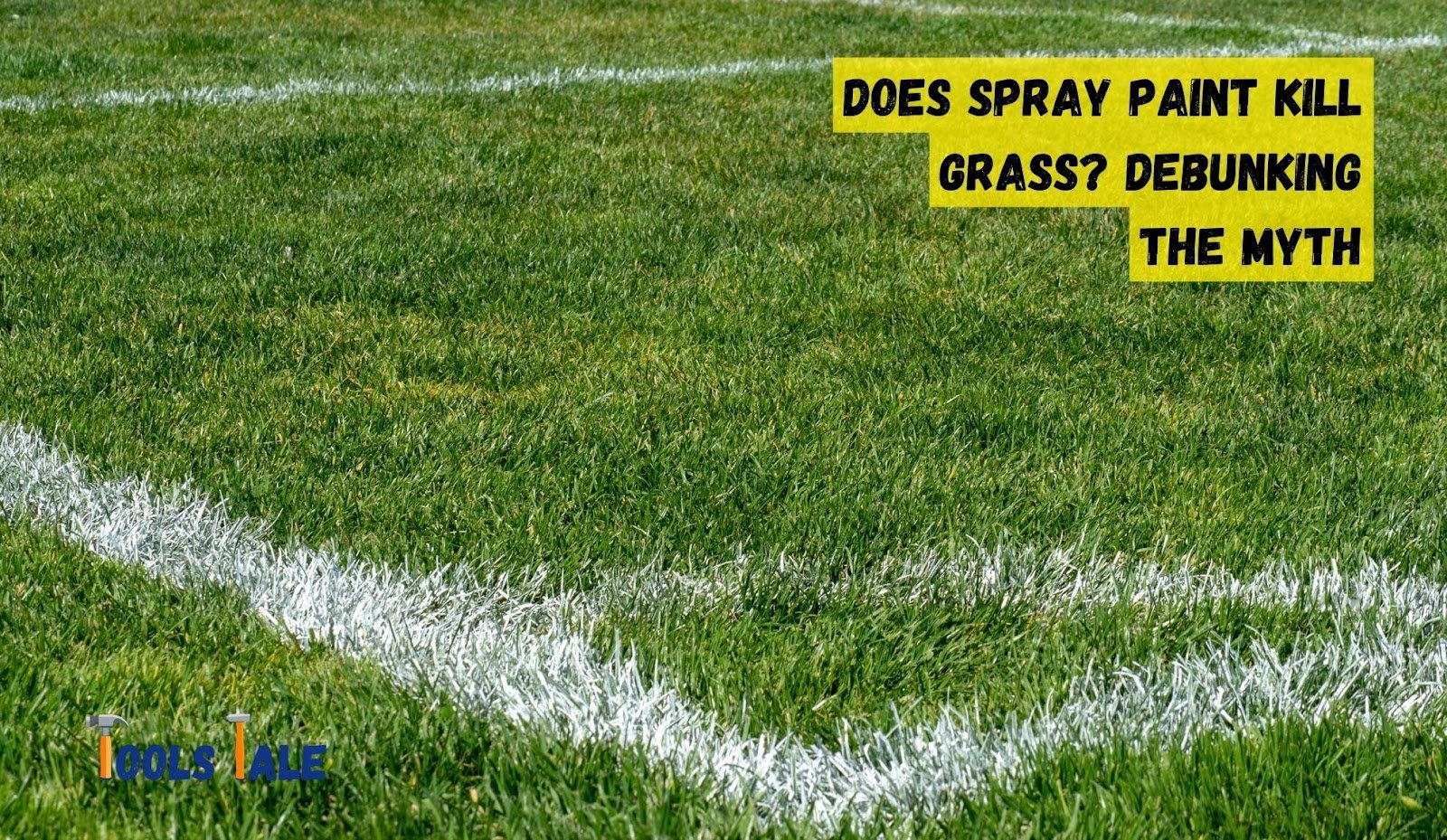 Does Spray Paint Kill Grass? 12 Tips to Safeguard Your Grass