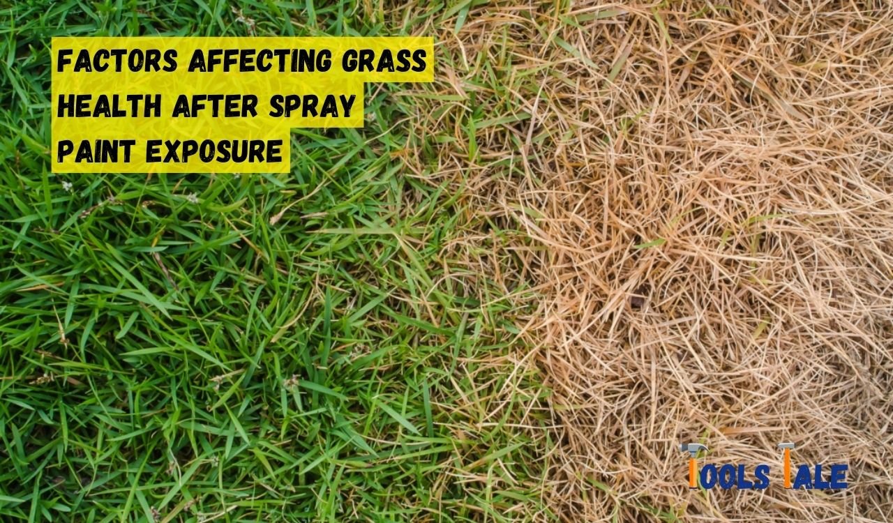 Does Spray Paint Kill Grass? 12 Tips to Safeguard Your Grass