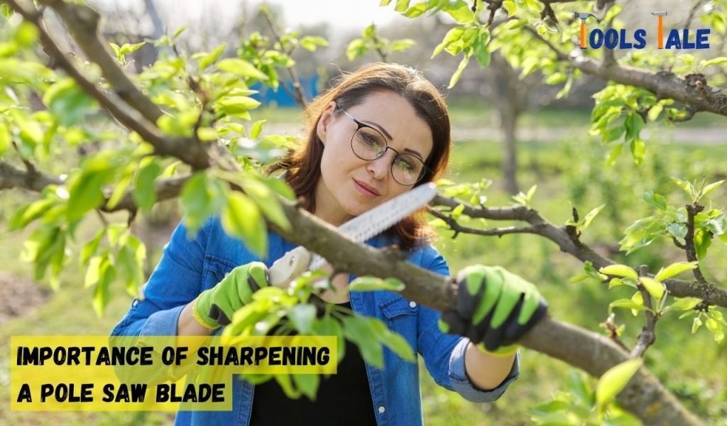 Importance of Sharpening a Pole Saw Blade