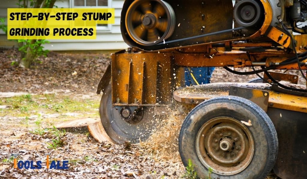 Step-by-Step Stump Grinding Process
