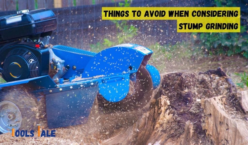 Things to Avoid When Considering Stump Grinding