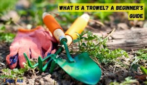 What is a trowel