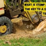 What is stump grinding