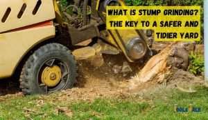 What is stump grinding