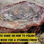 How to polish petrified wood