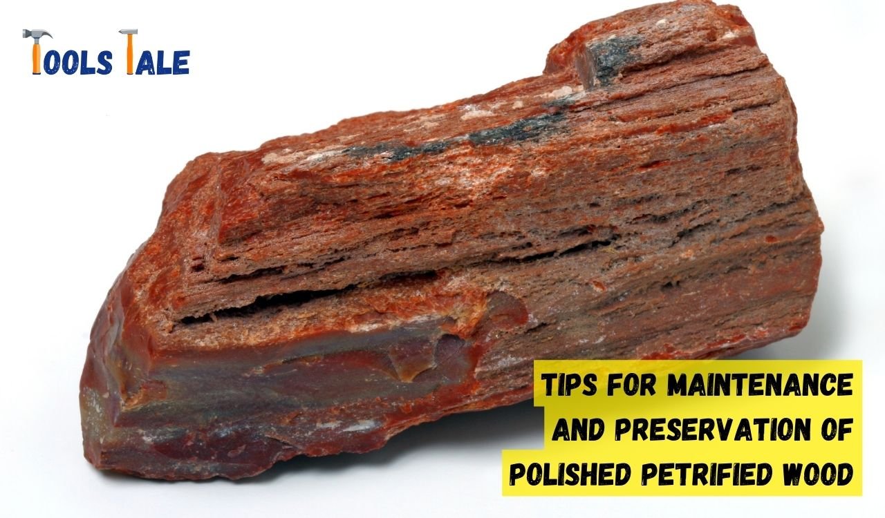 A Complete Guide on How to Polish Petrified Wood for a Stunning Finish