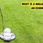 What Is a Mallet Putter